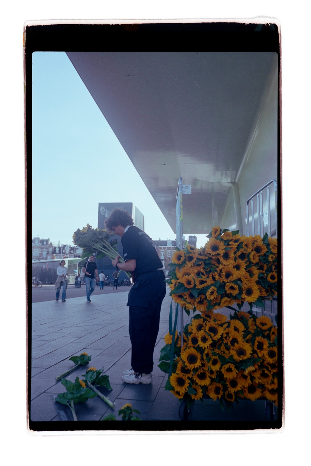blikopener Crimson legt zonnebloemen neer als een pad van het van gogh museum naar het stedelijk museum