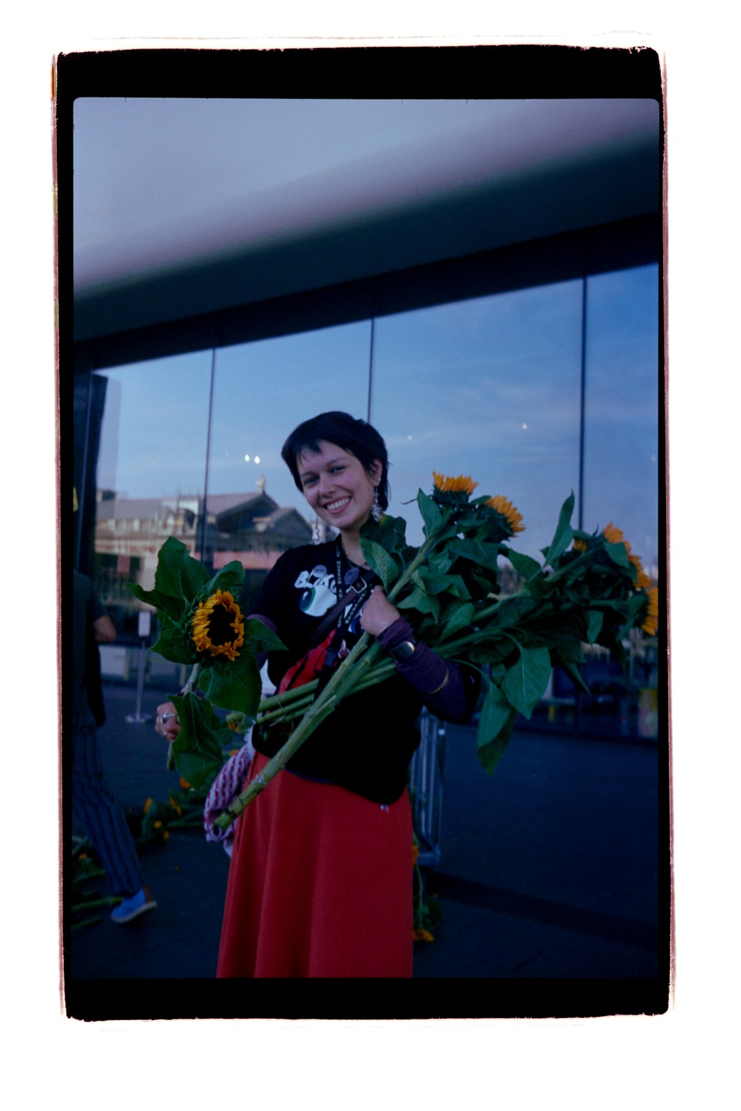 blikopener valentina met zonnebloemen tijdens het zonnebloemen neerleggen